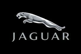 Peças para Veículos Jagaur - Auto Peças Jaguar