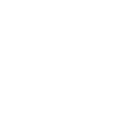 PISTÃO DO MOTOR PARA VEÍCULOS IMPORTADOS
